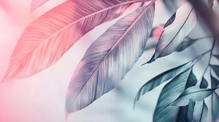 A close-up of a tropical arrow design, featuring intricate details of leaves with a soft gradient background