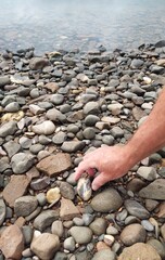 Man picking up pebbles and rocks on a beach in Gaspesie, Quebec, Canada