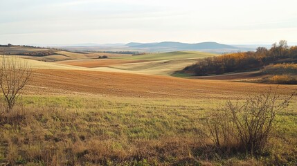Obraz premium Sloping field with distant views