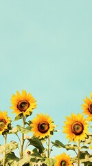 A serene image of sunflowers standing tall in a field, with ample copy space for text, complemented by a light blue background