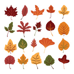 set of autumn leaves vector