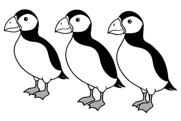 Fototapeta premium Four Puffins Linear Vector Art on White Background