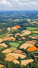 Obraz premium Aerial view of a patchwork of fields in various shades of green, brown, and orange.