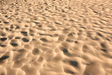 Natural, sand ripples and environment with desert, dune and travel with tourism, adventure and...