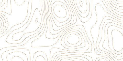 Abstract wave paper curved reliefs background .gradient multicolor wave curve lines banner background design .topographic contours map background .Vector geographic contour map.	