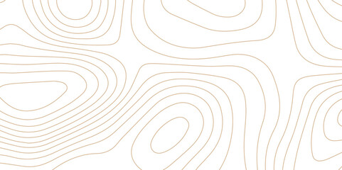 Abstract wave paper curved reliefs background .gradient multicolor wave curve lines banner background design .topographic contours map background .Vector geographic contour map.	