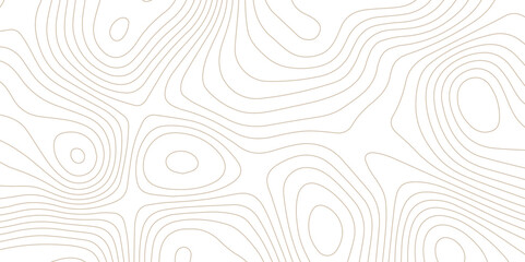 Fototapeta premium Abstract wave paper curved reliefs background .gradient multicolor wave curve lines banner background design .topographic contours map background .Vector geographic contour map. 