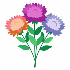 Aster Flowers Four-Color Vector Design on White Background