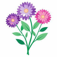 Aster Flowers Four-Color Vector Design on White Background