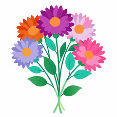 Aster Flowers Four-Color Vector Design on White Background