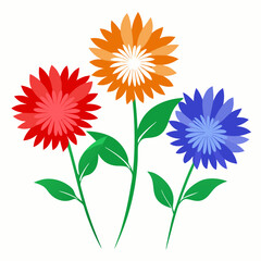 Aster Flowers Four-Color Vector Design on White Background