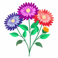 Aster Flowers Four-Color Vector Design on White Background