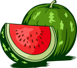 Classic Hand Drawing Watermelon Fruit Illustration