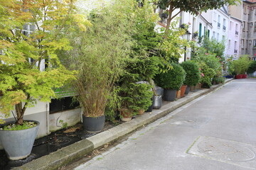 Rue arborée dans Paris 13ème