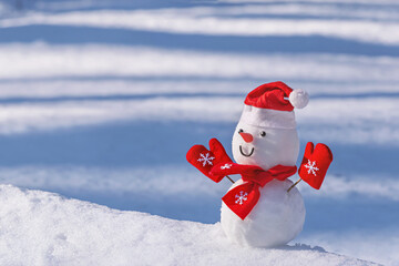 View of the snowman in a santa hat on his head in a winter forest. Holiday christmas background...