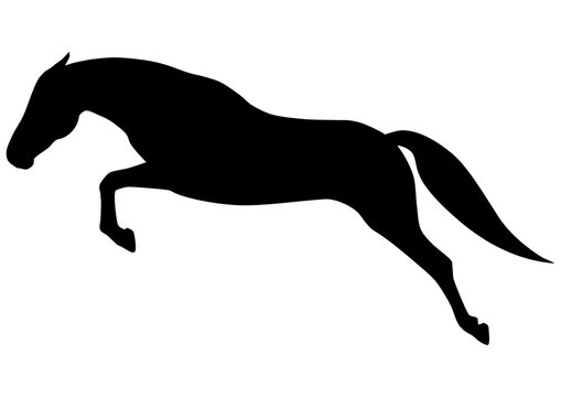 Springendes Pferd