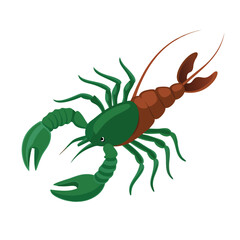 Hand drawn crawfish vector illustration white background