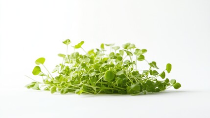 Obraz premium Pea microgreens white background. Generative AI