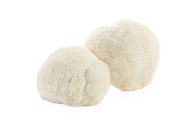 Lion's Mane Mushrooms on white background