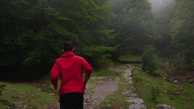Rear tracking shot of man running in the wild green forest.