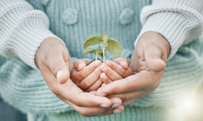 Child, mom and hands with plant and soil for support, unity and development in botany. Love, family...