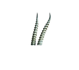 screw nut isolated on white Transparent Background . antlers on white transparent Background . Deer Horns PNG . Goat Horns PNG. African Greater Kudu HORNs PNG. Markhor Horns PNG. Horns PNG. 