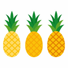 Minimalist Pineapple Fruit Vector Art Set of 4 on White Background