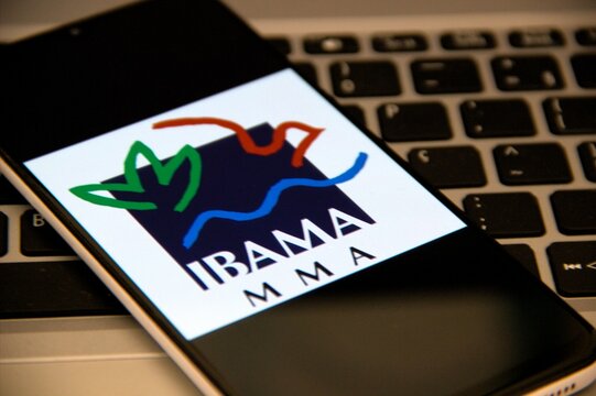 IBAMA - Instituto Brasileiro do Meio Ambiente e dos Recursos Naturais Renov&aacute;veis 