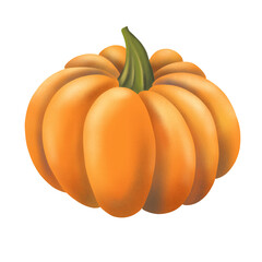 Hand drawn orange pumpkin illustration