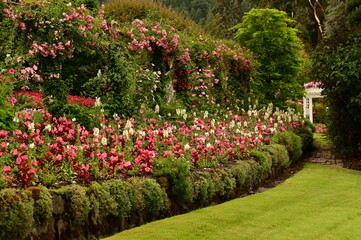 Botanical Gardens in bloom