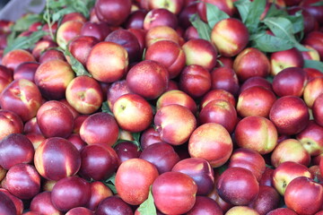 close up of nectarines on the market