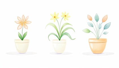 Illustration of three potted plants with delicate flowers and leaves in watercolor style, isolated on a white background.