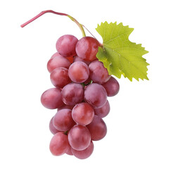 Fototapeta premium red grapes bunch isolated on white background. Generative AI