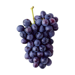 Fototapeta premium grapes bunch isolated on white background. Generative AI