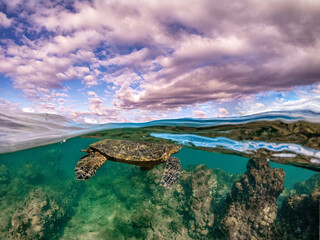 C:\DCIM\100GOPRO\GOPR6607.GPR