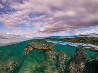 C:\DCIM\100GOPRO\GOPR6607.GPR