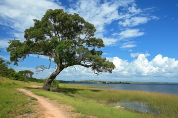 Obraz premium A tree stands in a field next to a body of water. The sky is clear and blue, and the water is calm. The scene is peaceful and serene, with the tree providing a sense of stability