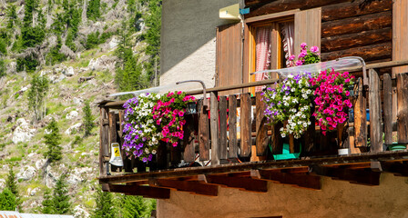 Blooming geraniums on the balcony of a mountain hut