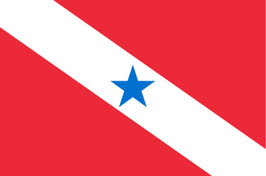Flag of Para state (Federative Republic of Brazil, Par&aacute;)