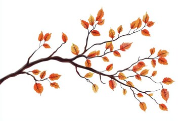Fototapeta premium Vibrant Autumn Tree Branch on White Background