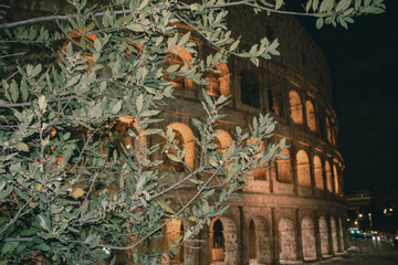 Colis&eacute;e de Rome