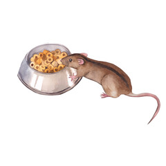 Watercolor illustration. Domestic mouse with a bowl of food, a tame mouse with a dark stripe on its back, all objects are hand-drawn with watercolors. For printing on pet product packaging, on fabric.