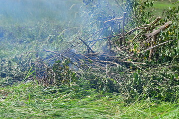 Smoke and Ashes in a Brush Fire