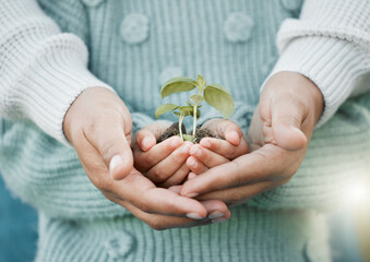 Kid, mother and hands with plant and soil for support, unity and development in botany. Love,...