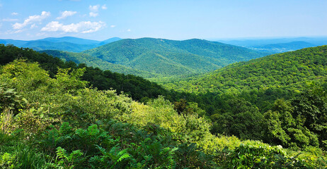Obraz premium View from Skyline Drive in Shenandoah National Park, Virginia, USA