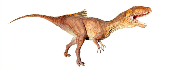 Concavenator corcovatus dinosaur figure from the Cretaceous period, roaring. Cutout of the predator isolated on a transparent blank background