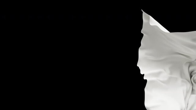 Cloth reveal opener. Transition of Falling wavy textile. Flowing fabric. Embedded alpha channel