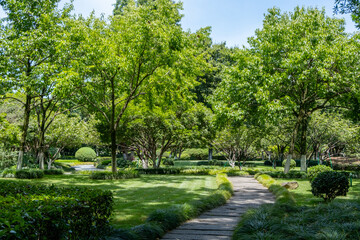 Background texture of a lush, landscaped garden or park with a pathway through well-maintained grass, shaded by trees, and lined with neatly trimmed shrubs. The green outdoor space with landscaping