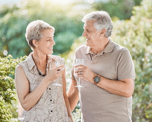Cheers, park and senior couple with wine for anniversary, romantic date and toast for commitment. Marriage, retirement and elderly man and woman with alcohol for celebrate, bonding and relax outdoors
