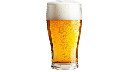 Tulip pint glass of fresh golden-colored beer with cap of foam isolated on white background